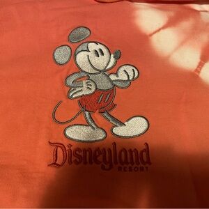 Adult Large Disneyland Resort Hooded Sweatshirt